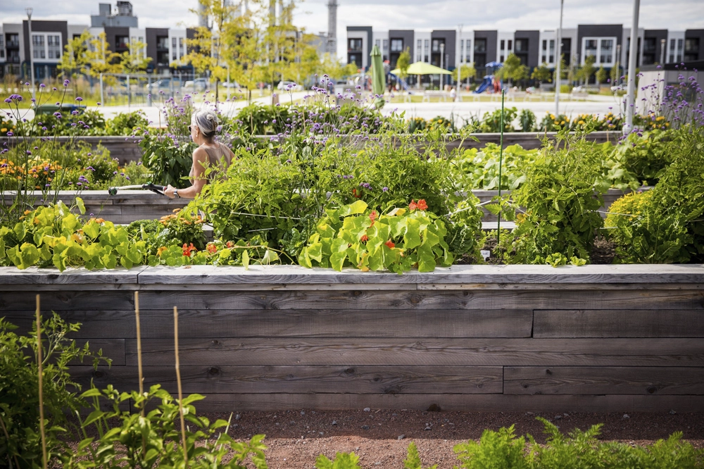 Équipe D'astous Cloutier- Les jardins de Candiac