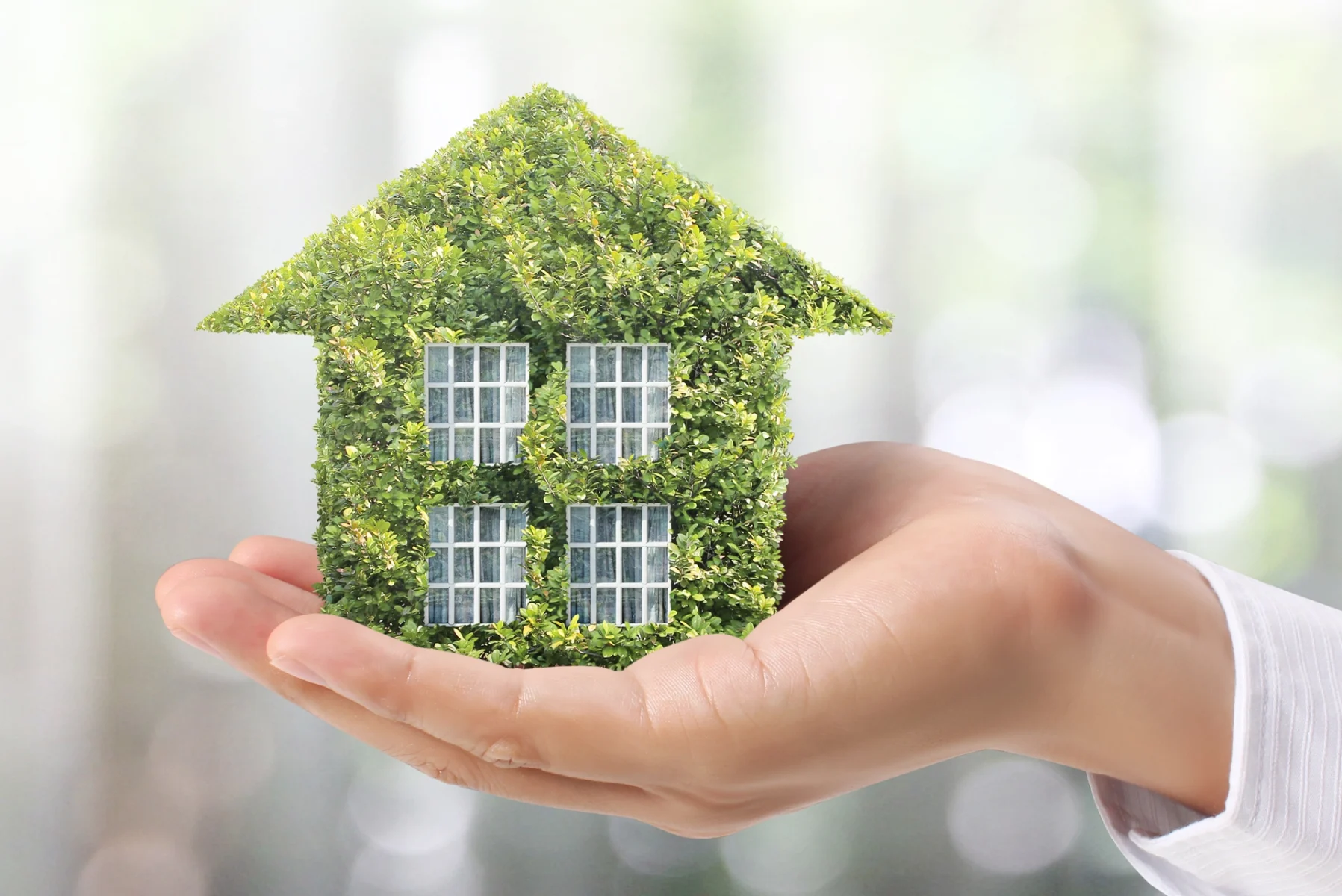 Équipe D'astous Cloutier - Maison écoresponsable